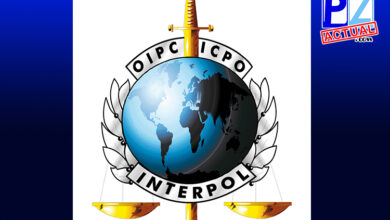 Interpol