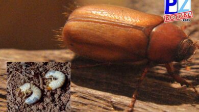 photo 2015 04 26 10 49 05