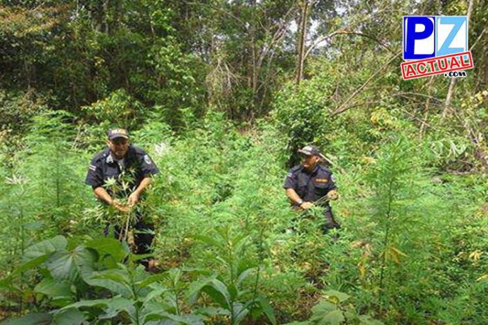 photo 2015 06 06 10 32 55