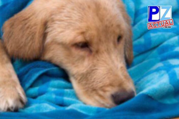 photo 2015 06 09 14 32 24