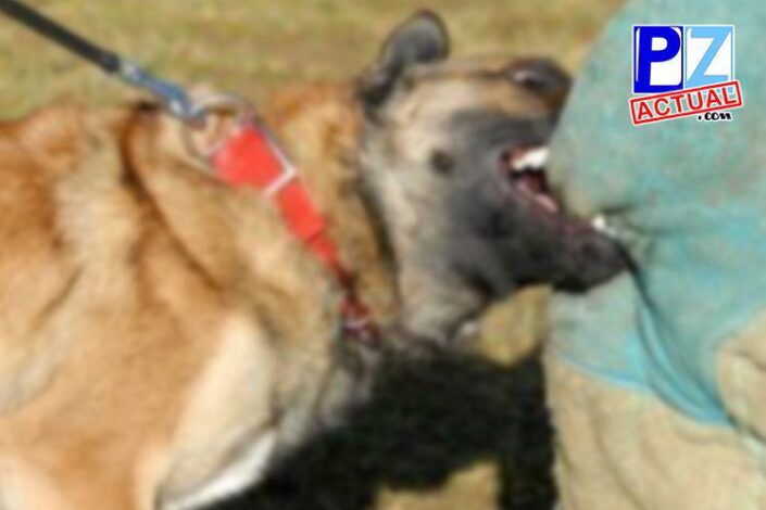 photo 2015 07 22 14 26 56