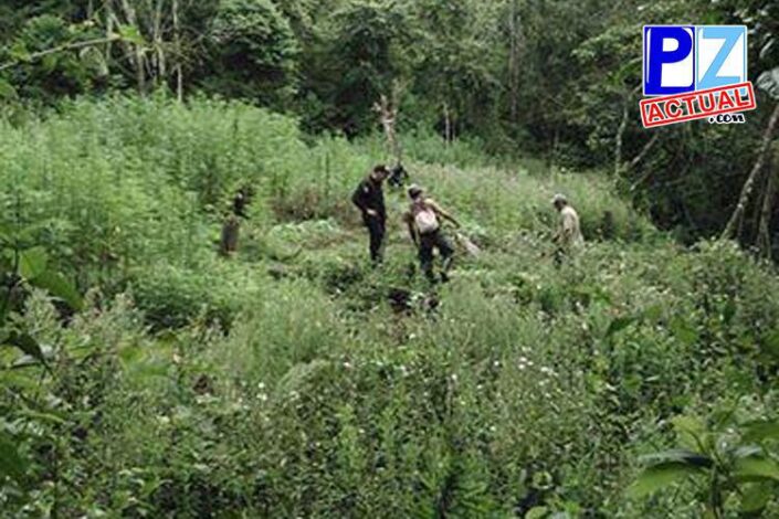 12088059 1134963546517097 5410943495140022658 n1