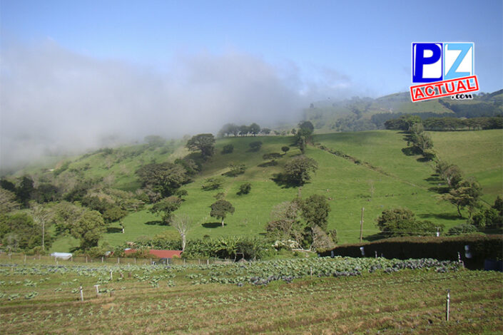 campito
