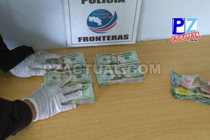 14 copia 24