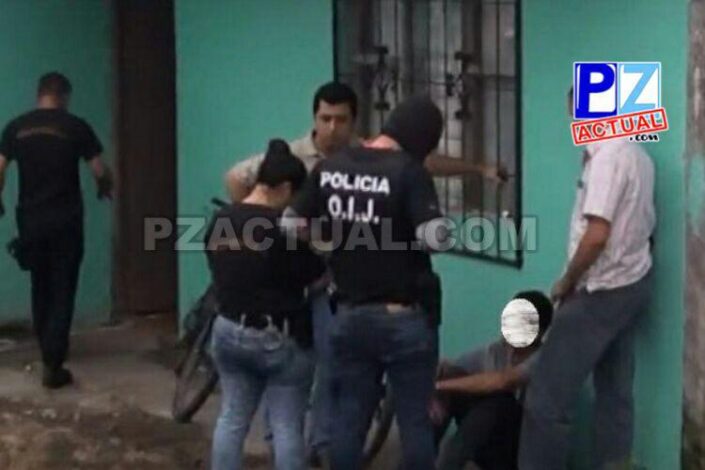14 copia 3