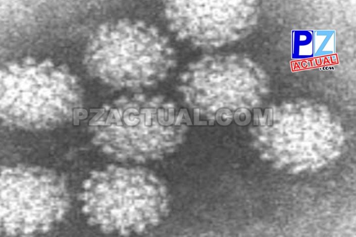MG 1065 8