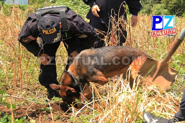 WhatsApp Image 2018 08 09 at 16.59.11