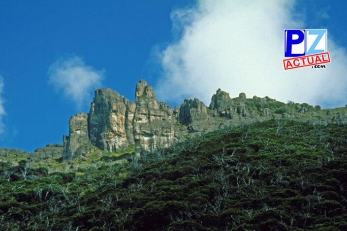 13178986 1153943487969361 2843263877193160792 n 1