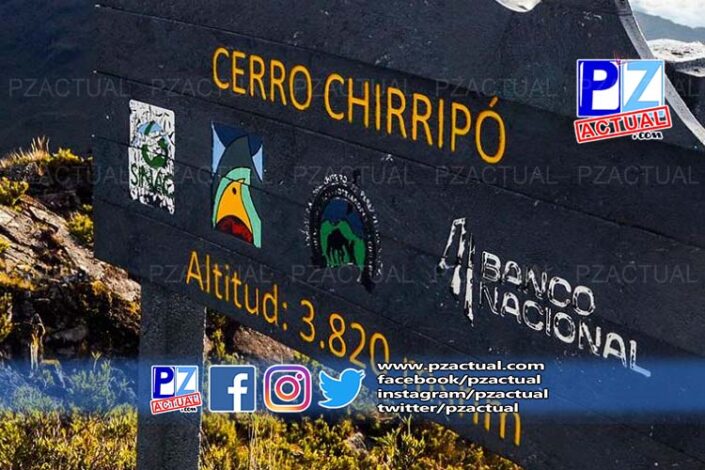 001 copia 5