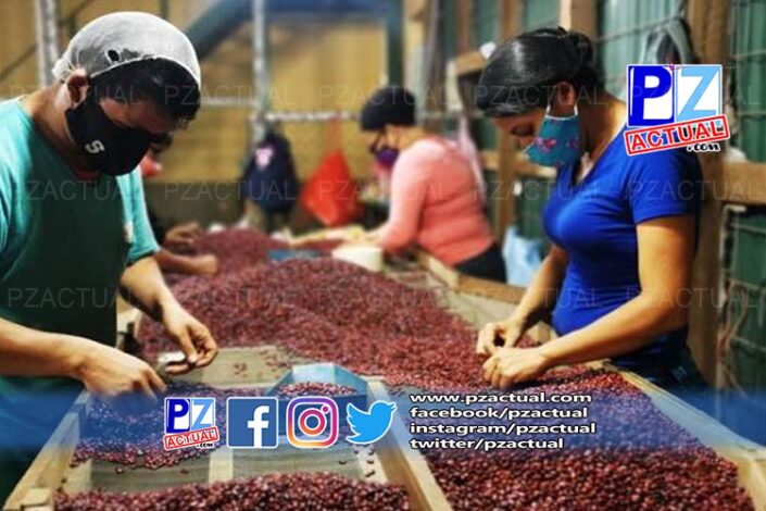 CNP construira bodegas en PZ