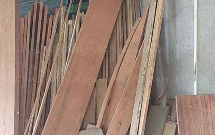 Autoridades incautaron valiosas maderas preciosas en la Zona Sur