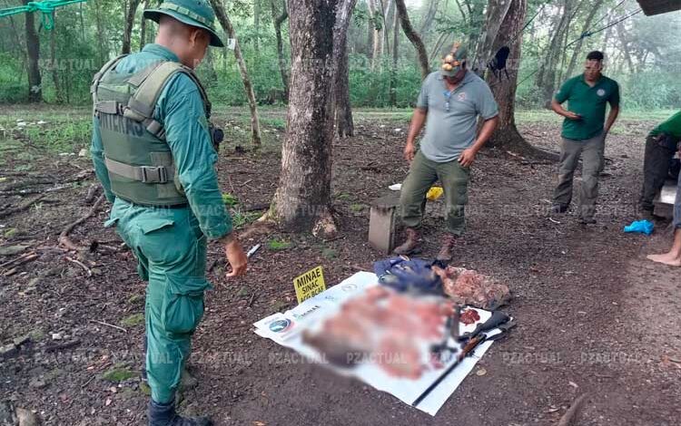 Cazadores matan venado cola blanca y tepezcuintle