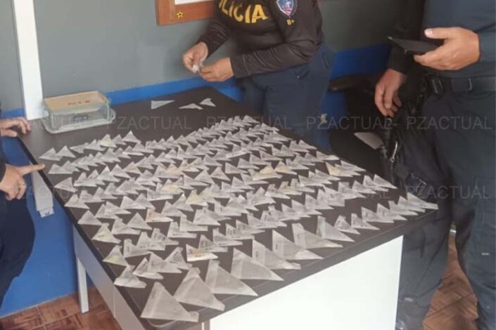 Imagen muestra mariposas decomisadas a hombre en Costa Rica