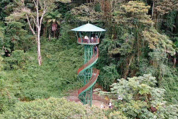 torres para avistamiento de aves