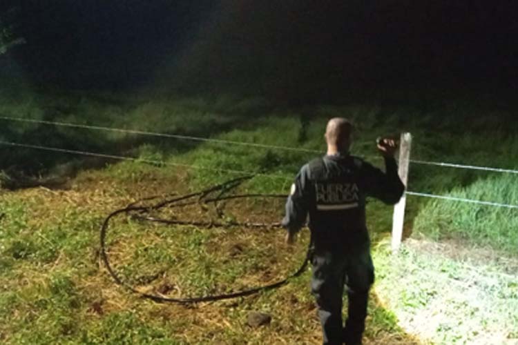 A prisión preventiva sospechosos de robar cable en la Zona Sur