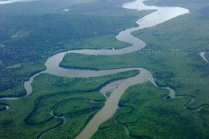IMAGEN MUESTRA HUMEDAL TÉRRABA SIERPE