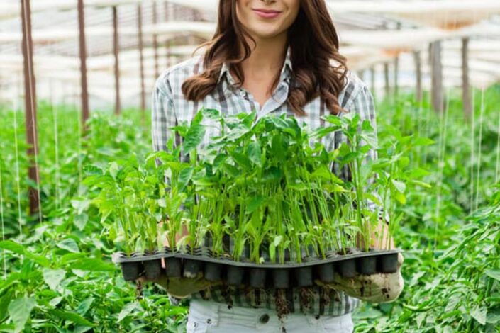 Imagen muestra mujer en labores agrícolas