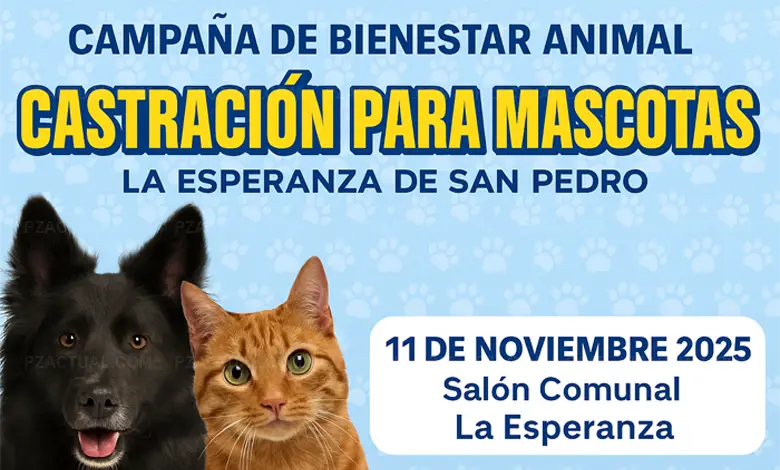 Imagen muestra datos sobre la campaña