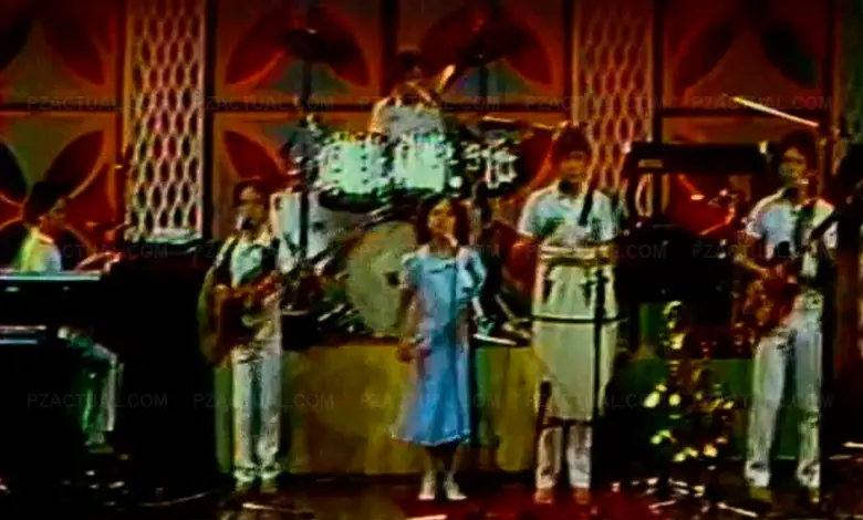 Grupo Los Abejorros. Captura de pantalla