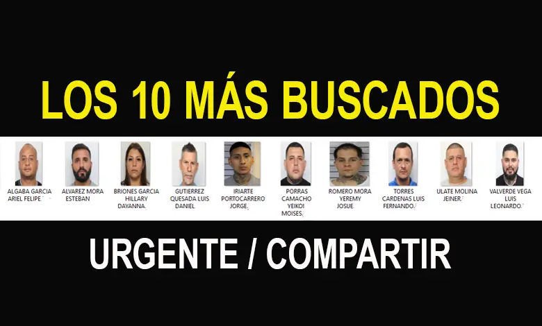 IMAGEN MUESTRA A LOS 10 MÁS BUSCADOS